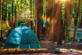 Camping Spots in Brandon Florida