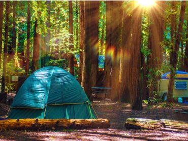 Camping Spots in Brandon Florida