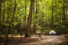 Camping Spots in Ellicott City Maryland