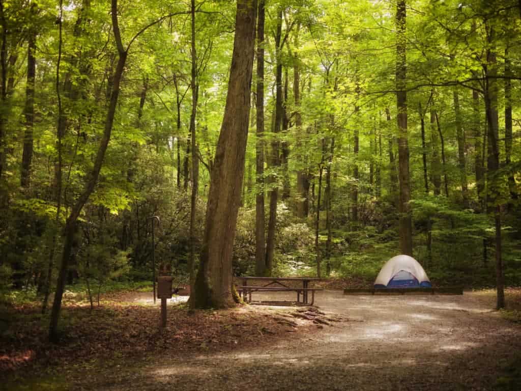 Camping Spots in Ellicott City Maryland