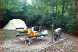 Camping Spots in Frederick Maryland