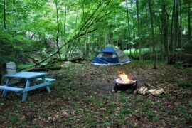 Camping Spots in Mount Vernon New York