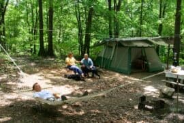 Camping Spots in Roanoke Virginia