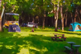 Camping Spots in Skokie Illinois