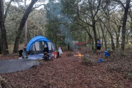 Camping Spots in Wesley Chapel Florida