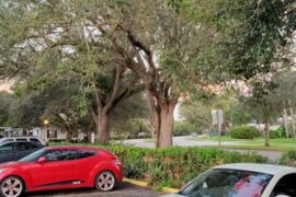 Cheap Parking in Plantation Florida