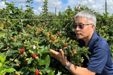 Cherry Picking Places in Cheyenne Wyoming