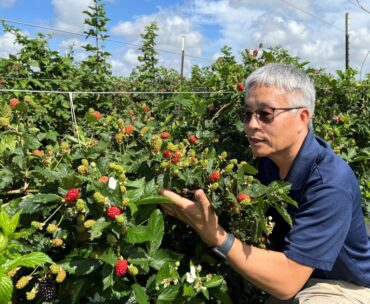 Cherry Picking Places in Cheyenne Wyoming