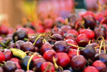 Cherry Picking Places in Cicero Illinois