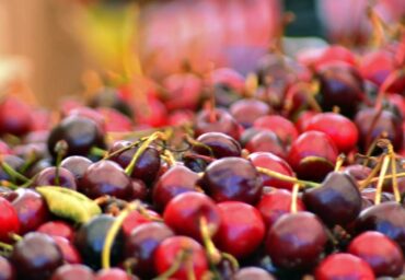 Cherry Picking Places in Cicero Illinois