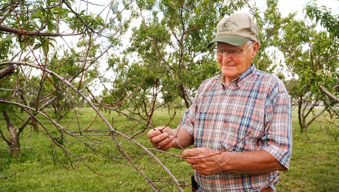 Cherry Picking Places in Lafayette Indiana