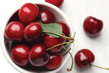 Cherry Picking Places in New Haven Connecticut