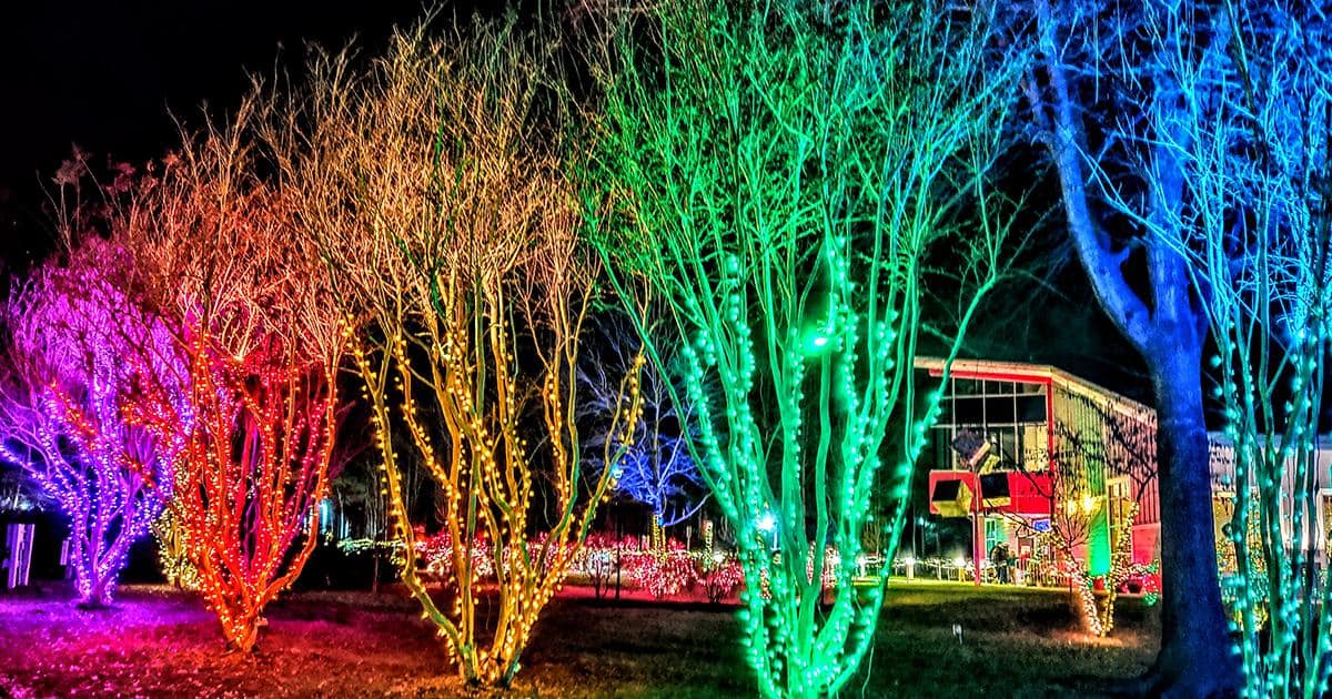 Christmas Lights in Baltimore Maryland