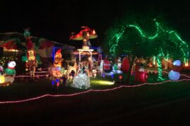 Christmas Lights in Brandon Florida