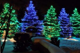 Christmas Lights in Brooklyn Park Minnesota