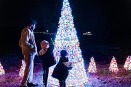 Christmas Lights in Centreville Virginia