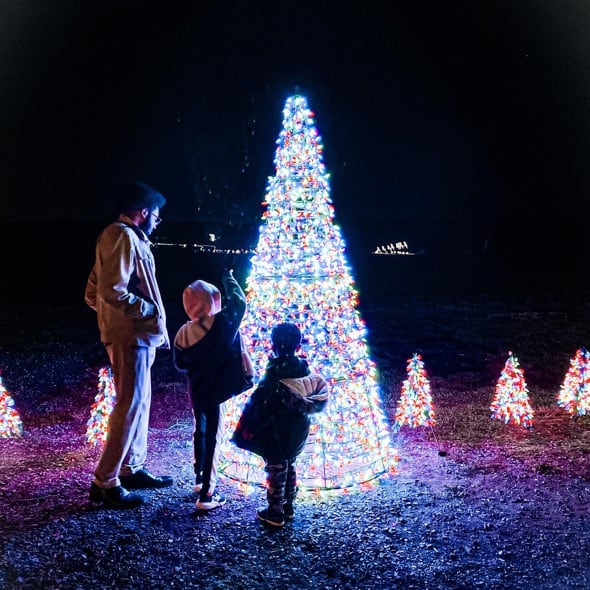 Christmas Lights in Centreville Virginia