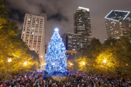 Christmas Lights in Chicago Illinois