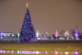 Christmas Lights in Cicero Illinois