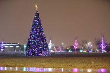 Christmas Lights in Cicero Illinois