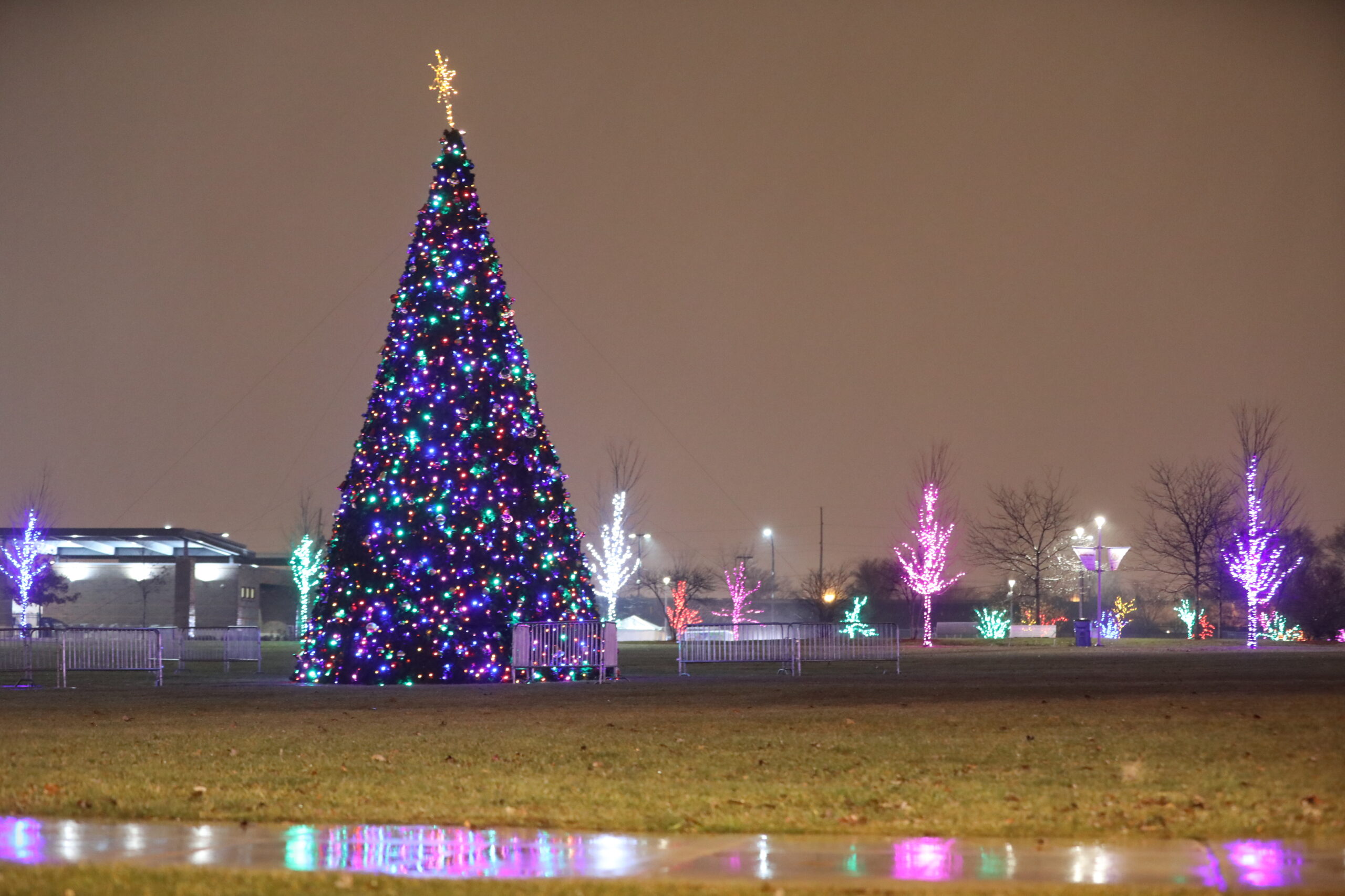 Christmas Lights in Cicero Illinois