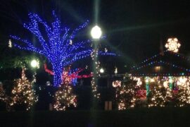 Christmas Lights in Davie Florida