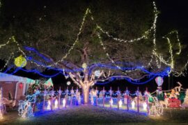 Christmas Lights in Fort Myers Florida