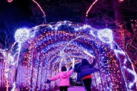 Christmas Lights in Frederick Maryland