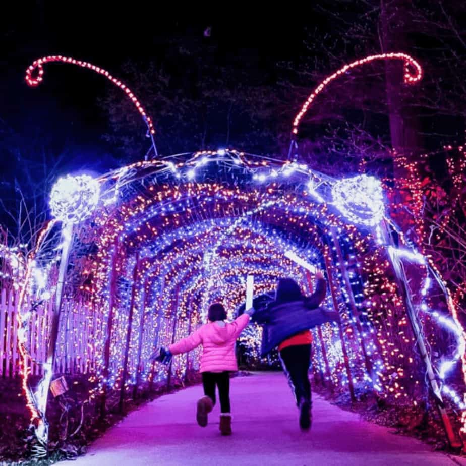 Christmas Lights in Frederick Maryland