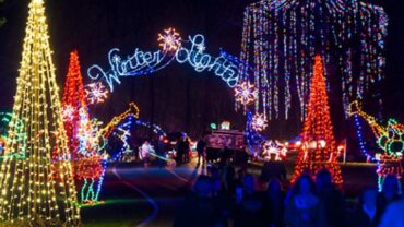 Christmas Lights in Gaithersburg Maryland