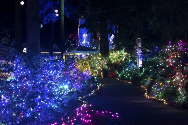 Christmas Lights in Gresham Oregon