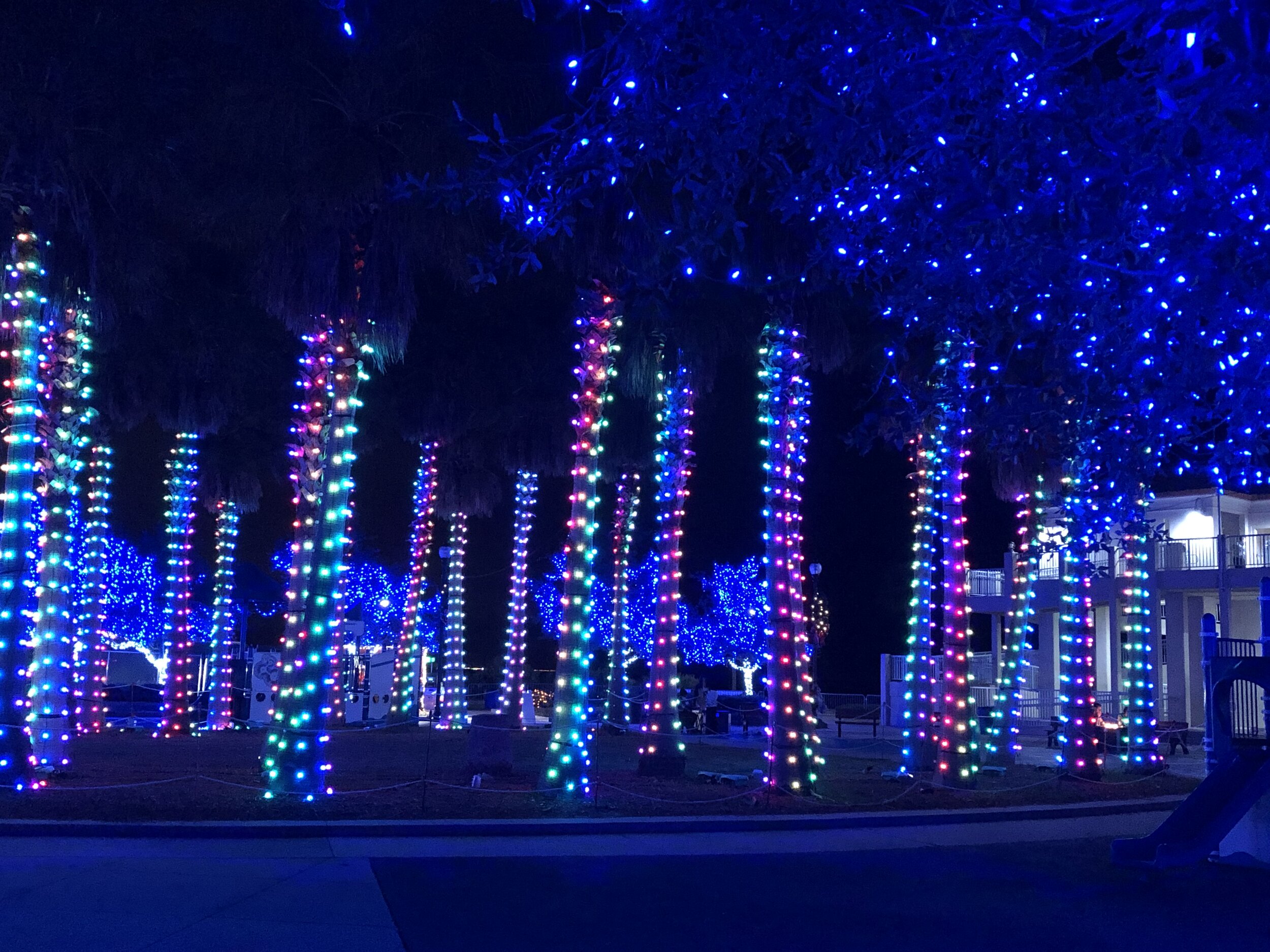 Christmas Lights in Gulfport Mississippi