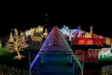 Christmas Lights in Hartford Connecticut