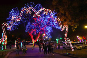 Christmas Lights in Hillsborough County Florida