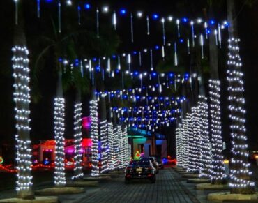 Christmas Lights in Homestead Florida