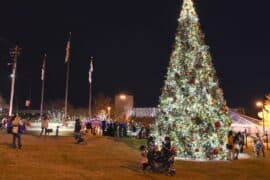 Christmas Lights in Hoover Alabama