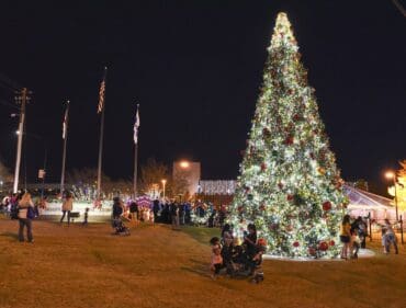 Christmas Lights in Hoover Alabama