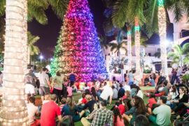 Christmas Lights in Kendall Florida