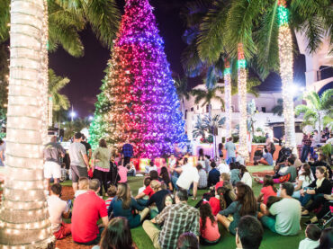 Christmas Lights in Kendall Florida