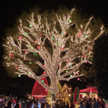 Christmas Lights in Lauderhill Florida