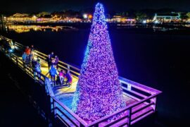 Christmas Lights in North Charleston South Carolina