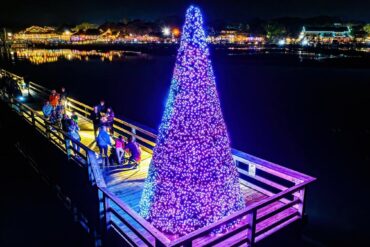Christmas Lights in North Charleston South Carolina