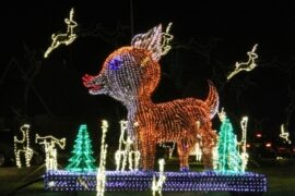 Christmas Lights in Peoria Illinois