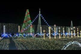 Christmas Lights in Plantation Florida