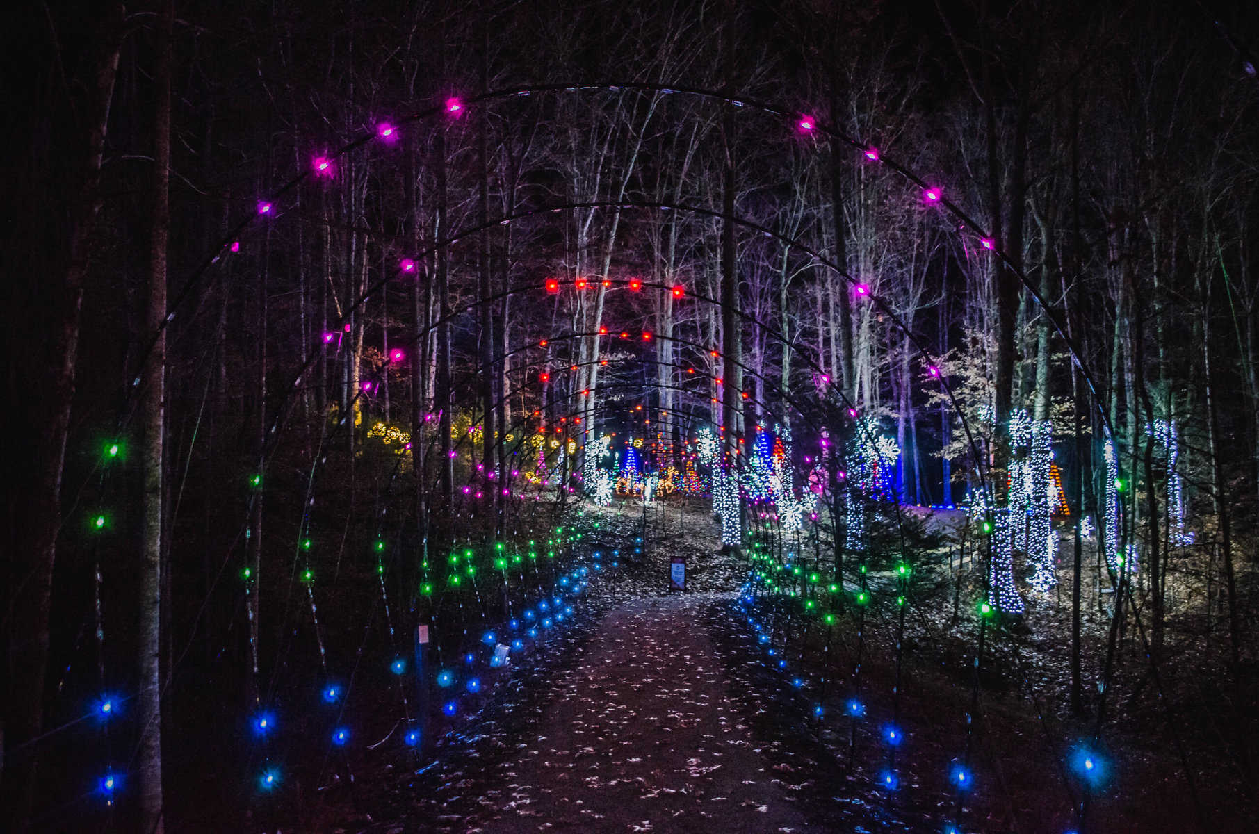 Experience the Magical Christmas Lights in Roanoke Virginia!
