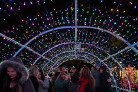 Christmas Lights in Salem Oregon