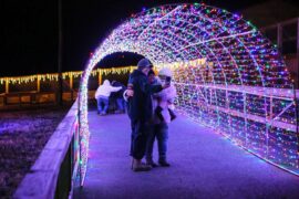 Christmas Lights in Schenectady New York