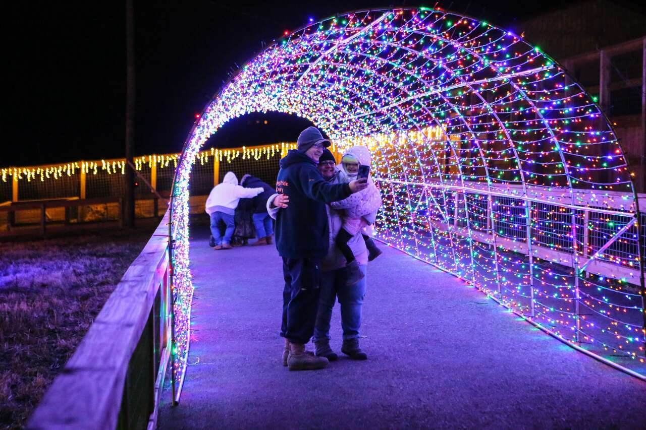 Experience the Magical Christmas Lights in Schenectady New York