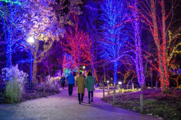 Christmas Lights in Skokie Illinois