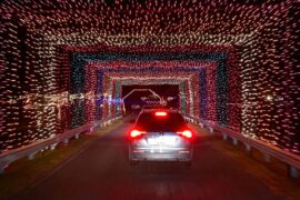 Christmas Lights in Springfield Illinois